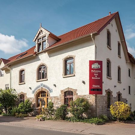 费芬霍芬酒店 Schwabenheim an der Selz 外观 照片